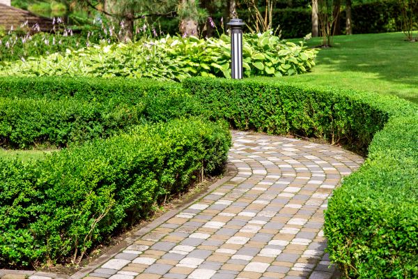 Paved Landscaping in Lady Lake