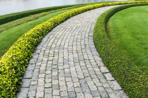 Sidewalk Pavers Installation in Lady Lake