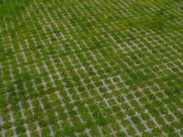 Permeable Pavement Service in Lady Lake